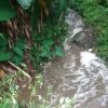 Sungai di Purwawinangun Tercemar Kotoran Ternak, Warga Desak Pemkab Kuningan Bertindak